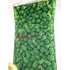 دیوار سبز خزه ای برای کیلینیک زیبایی